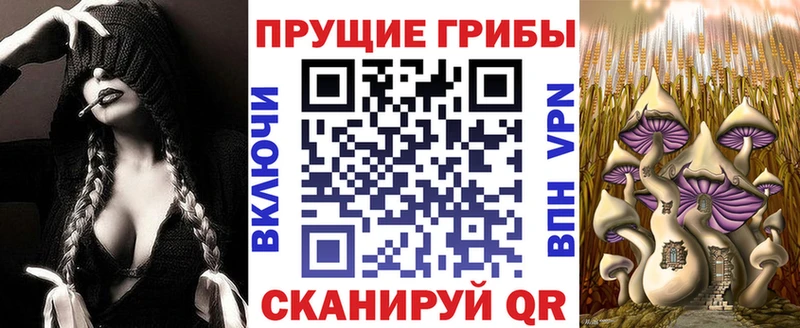 omg ссылка  как найти закладки  Пятигорск  Псилоцибиновые грибы ЛСД 
