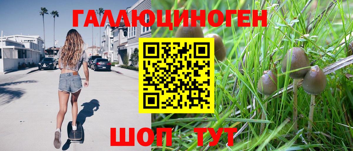 Галлюциногенные грибы MAGIC MUSHROOMS Пятигорск