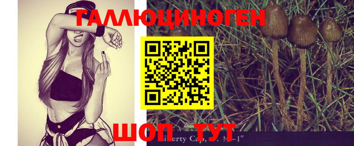 Псилоцибиновые грибы GOLDEN TEACHER  Пятигорск  наркота  Галлюциногенные грибы Cubensis 