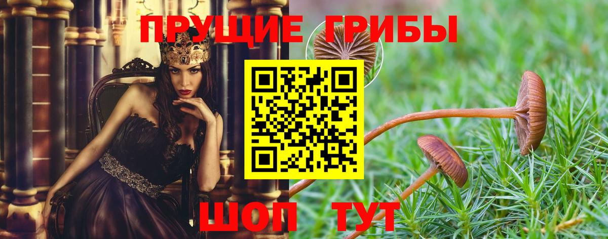 Псилоцибиновые грибы прущие грибы  Вход с VPN  Пятигорск  Галлюциногенные грибы MAGIC MUSHROOMS 